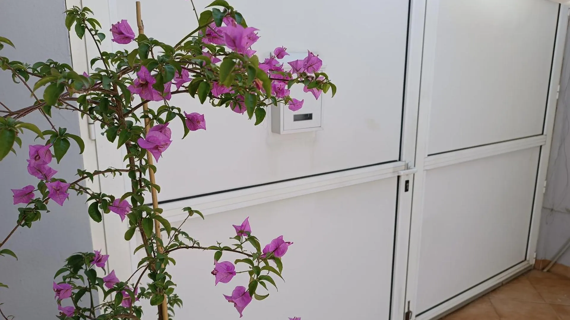 Apartman Dani Zadar Croatia